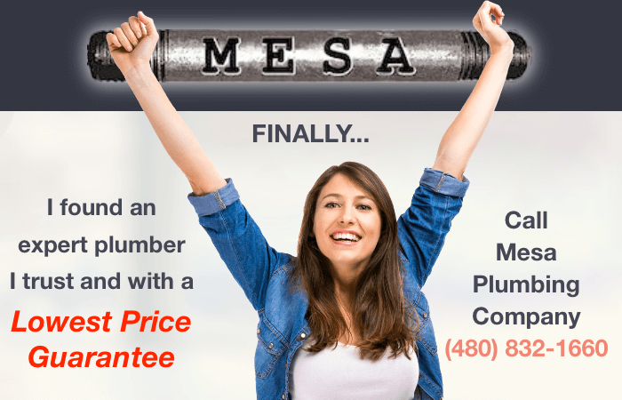 Happy Girl Mesa Plumbing Company Customer